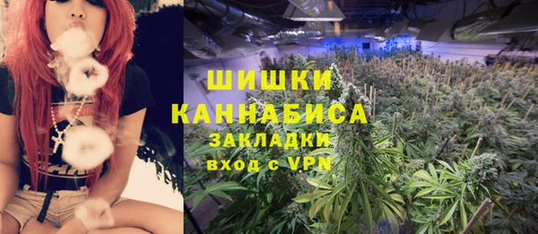 гидропоника Богданович