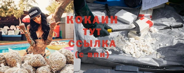 гидропоника Богданович