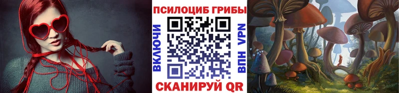 Псилоцибиновые грибы мицелий  как найти закладки  ссылка на мегу ссылки  Томск 